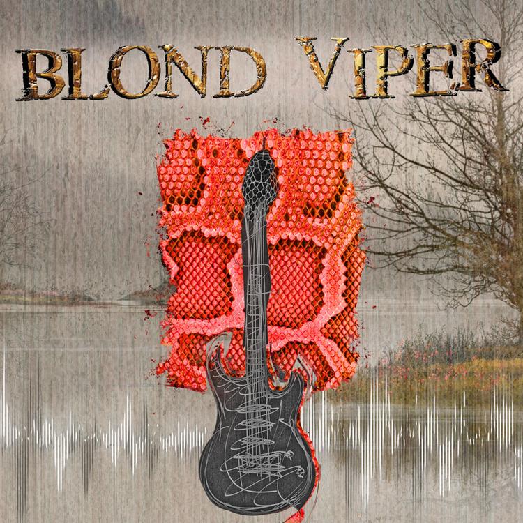 Blond Viper's avatar image