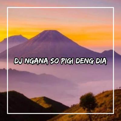 DJ NGANA SO PIGI DENG DIA's cover