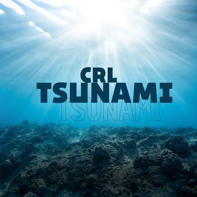 CRL TSUNAMI & NOSSA SENHORA DO CHÁ DE CAMOMILA By Dj Tuta 061, DJ Djokovic's cover