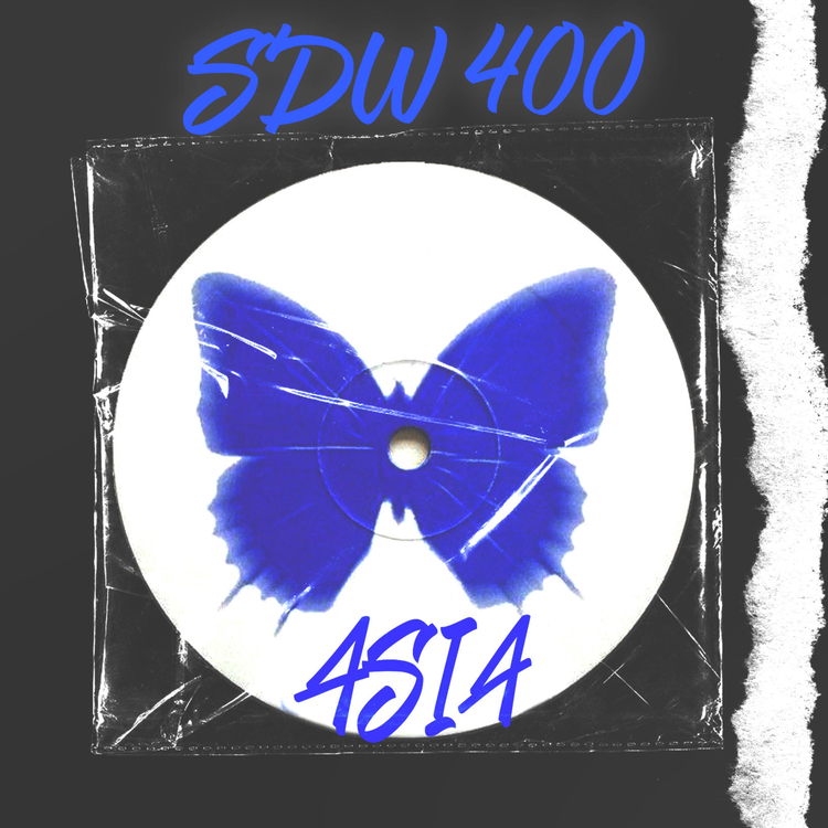 SDW 400's avatar image