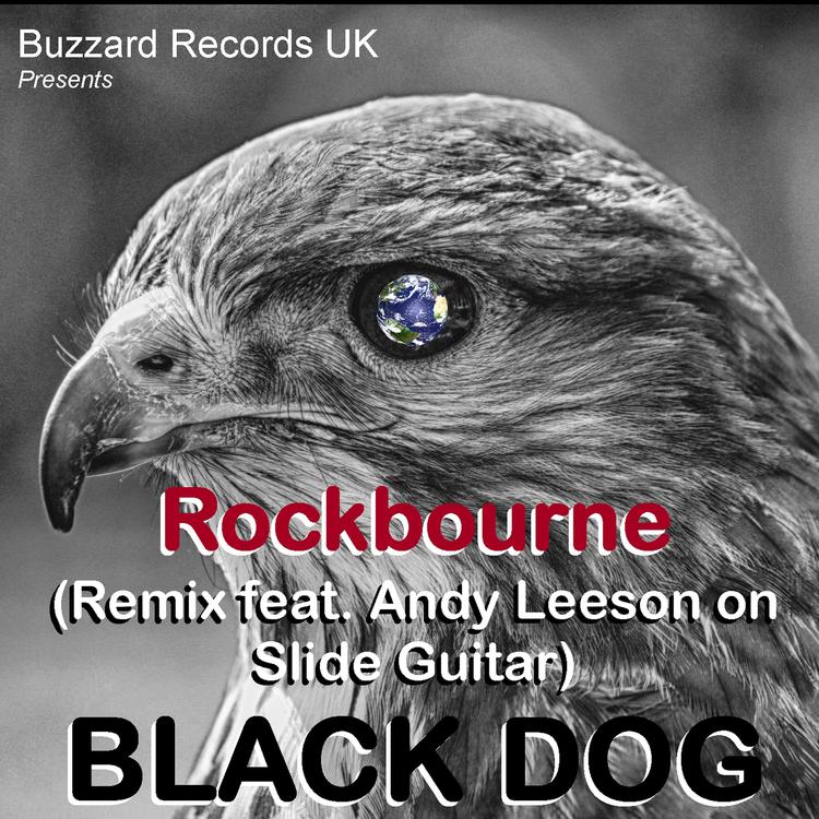 Rockbourne's avatar image