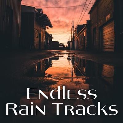 Endless Rain Tracks's cover