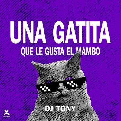 Una Gatita Que Le Gusta El Mambo's cover