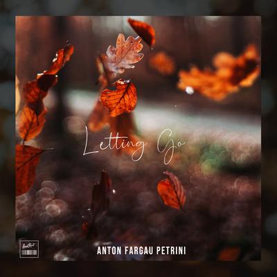 Letting Go By Anton Fargau Petrini's cover