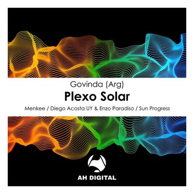 Plexo Solar (Diego Acosta UY & Enzo Paradiso Remix) By Govinda, Enzo Paradiso, Diego Acosta (UY)'s cover