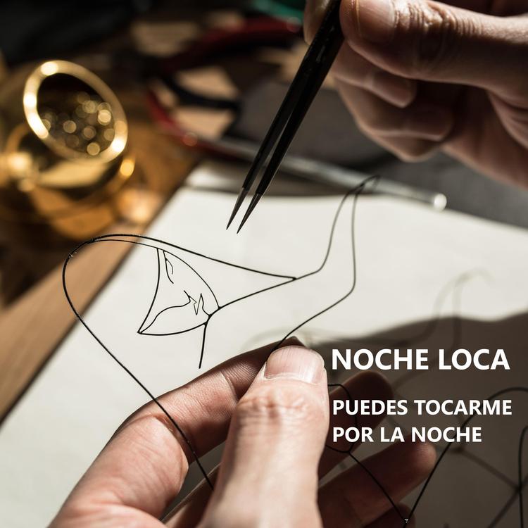 Noche Loca's avatar image