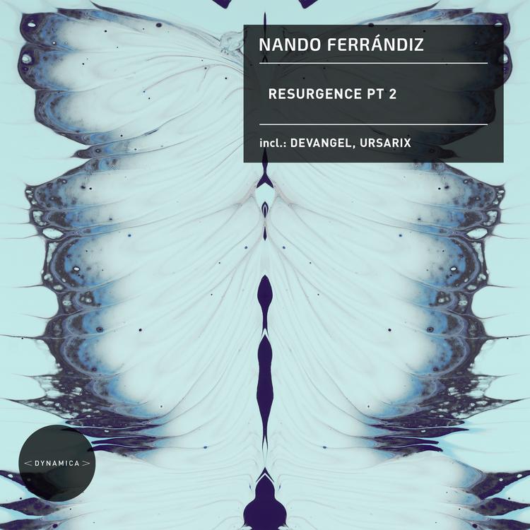 Nando Ferrandiz's avatar image