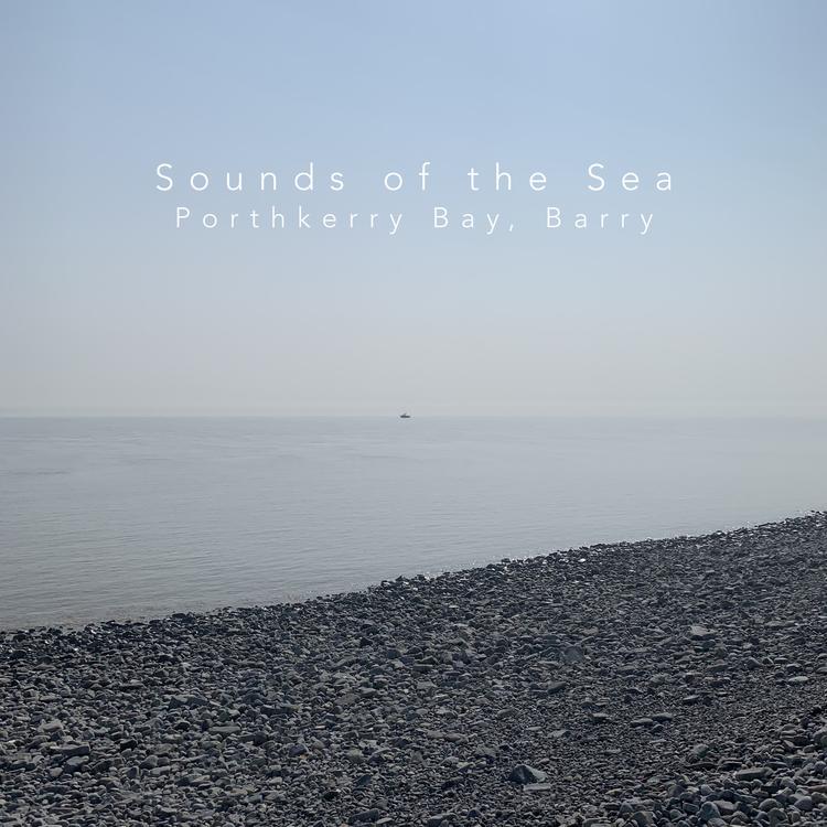 Sounds of the Sea's avatar image