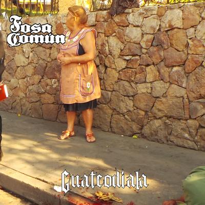 Fosa común's cover