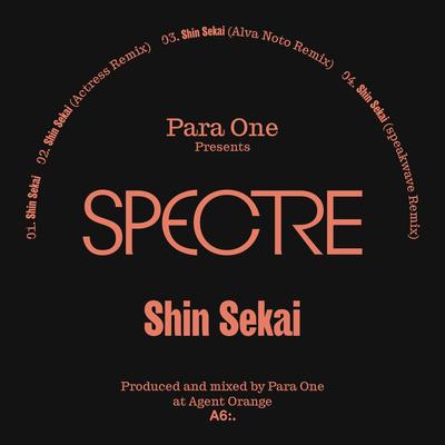 Shin Sekai (Alva Noto Remix) By Para One, Alva Noto's cover