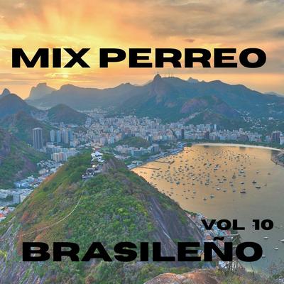 MIX PERREO BRASILEÑO VOL 10's cover