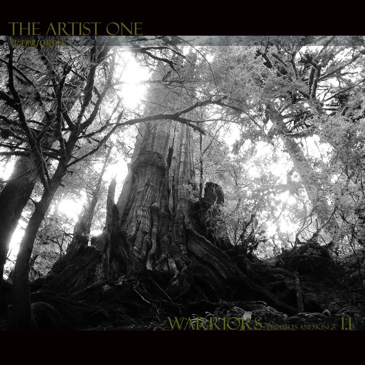 The Artist ONE's avatar image
