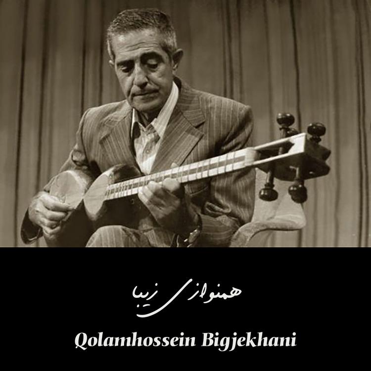 Qolamhossein Bigjekhani's avatar image