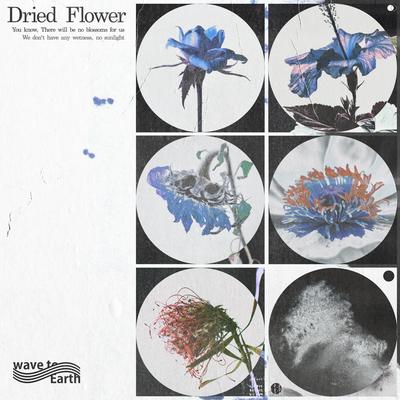 dried flower By wave to earth's cover