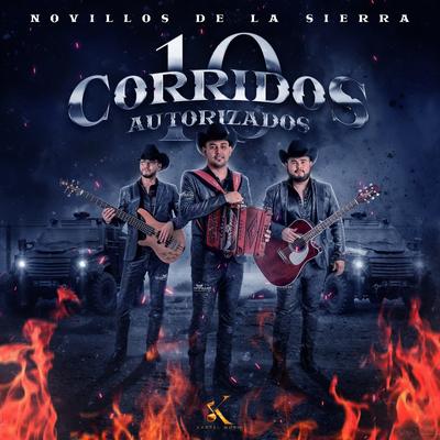 10 Corridos Autorizados's cover