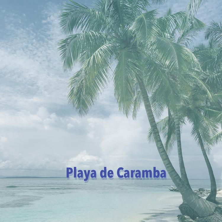 Playa de Caramba's avatar image