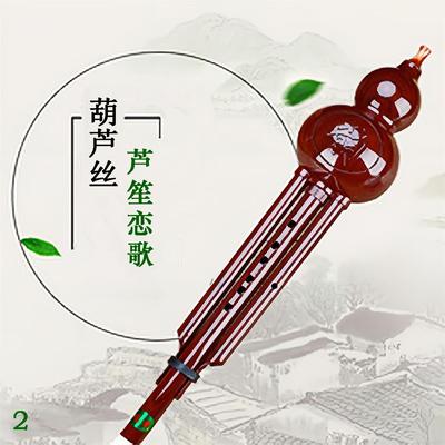 葫芦丝 芦笙恋歌 2's cover