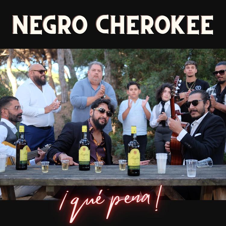 Negro Cherokee's avatar image