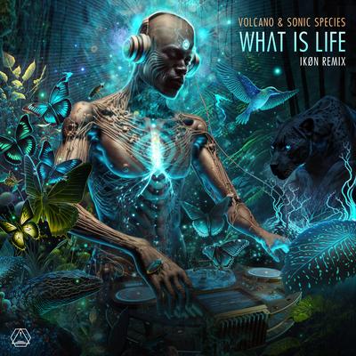 What Is Life By Volcano, Sonic Species, IKØN's cover