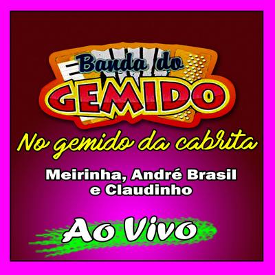 Forró do Zé Priquito - BANDA DO GEMIDO's cover