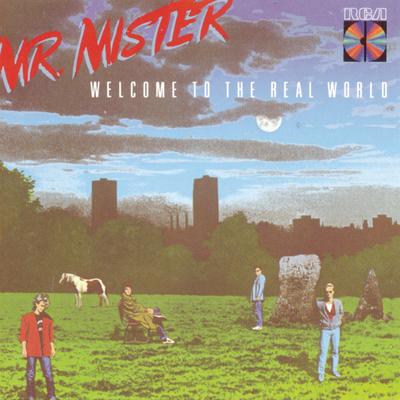 Broken Wings By Mr. Mister's cover