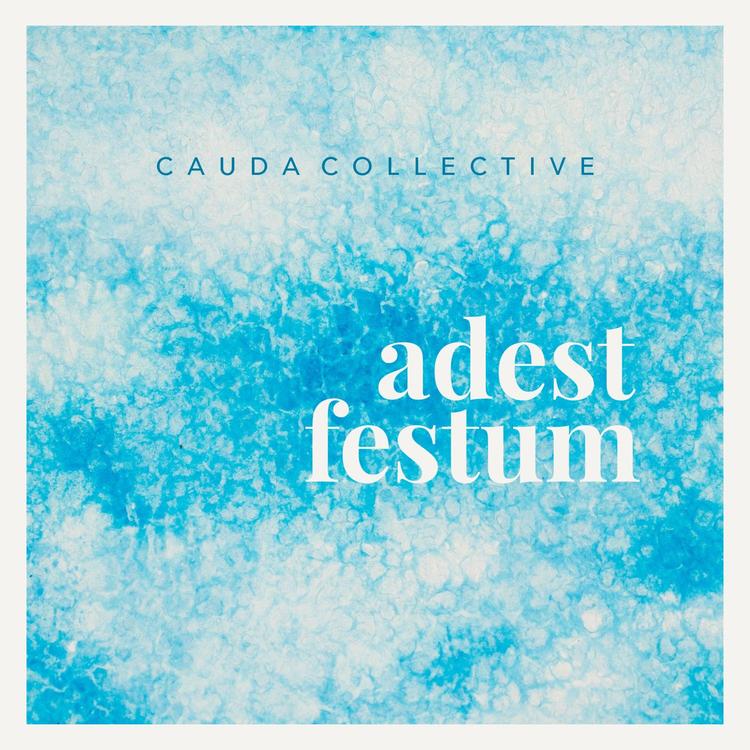Cauda Collective's avatar image