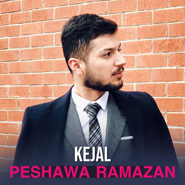 Peshawa Ramazan's avatar image