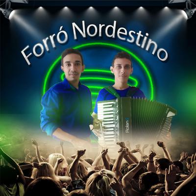 Estou Curtindo By Forró Nordestino's cover