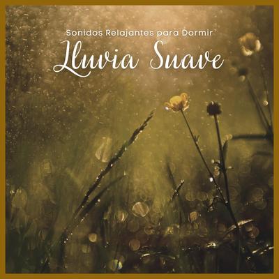 Sonidos Relajantes para Dormir: Lluvia Suave, Pt. 02's cover