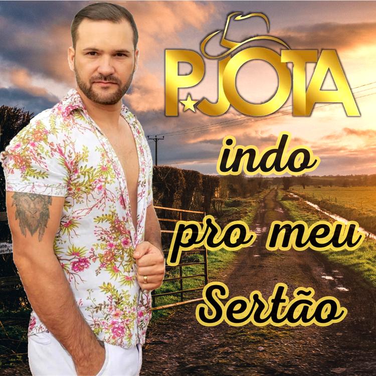 P. Jota's avatar image