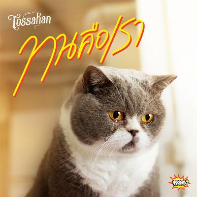 TOSSAKAN's cover