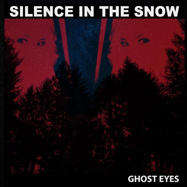 Silence In The Snow's avatar image