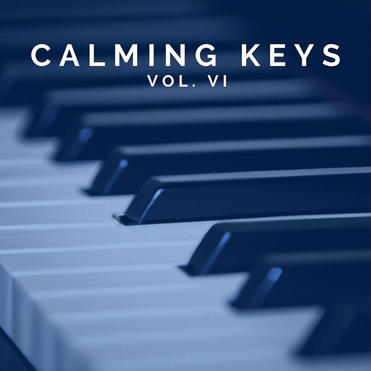 calming keys's avatar image