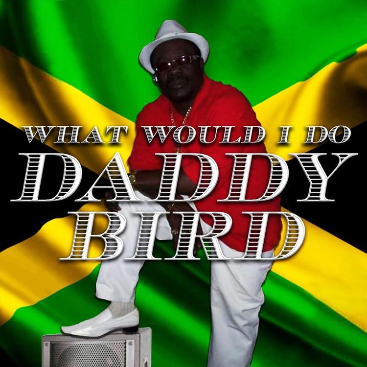 Daddy Bird's avatar image