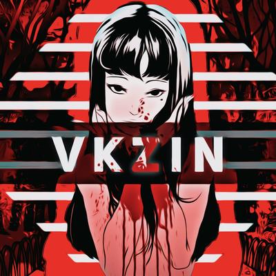 VKZIIN's cover