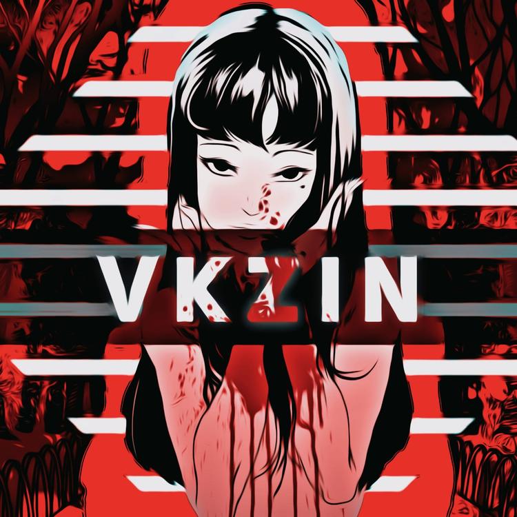 VKZIIN's avatar image