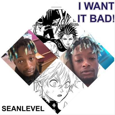 SeanLevel's cover