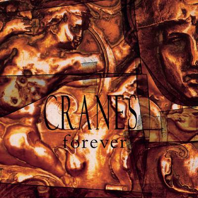 Jewel (12" Mix) By Cranes's cover