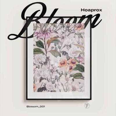 Bloom's cover