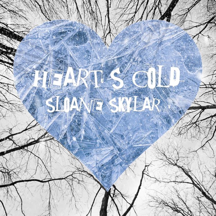 Sloane Skylar's avatar image
