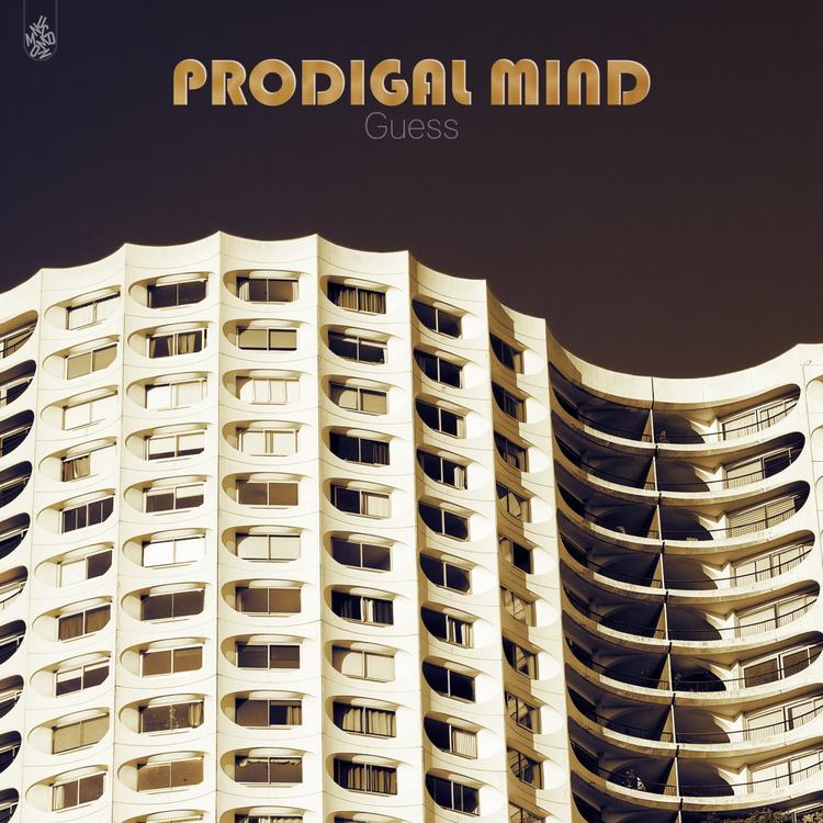 Prodigal Mind's avatar image