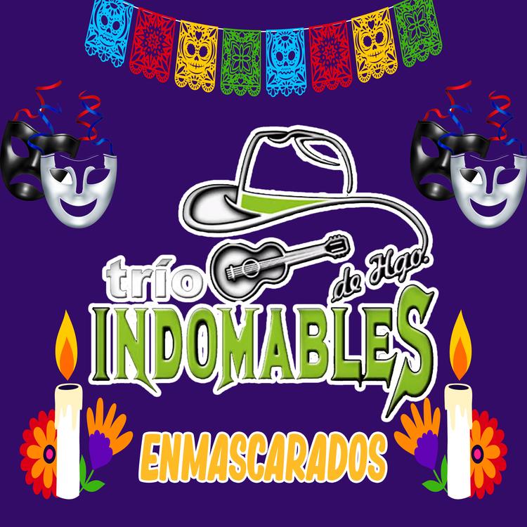 Trio Indomables De Hgo's avatar image