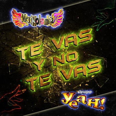 Te Vas y No Te Vas By Mexikolombia's cover
