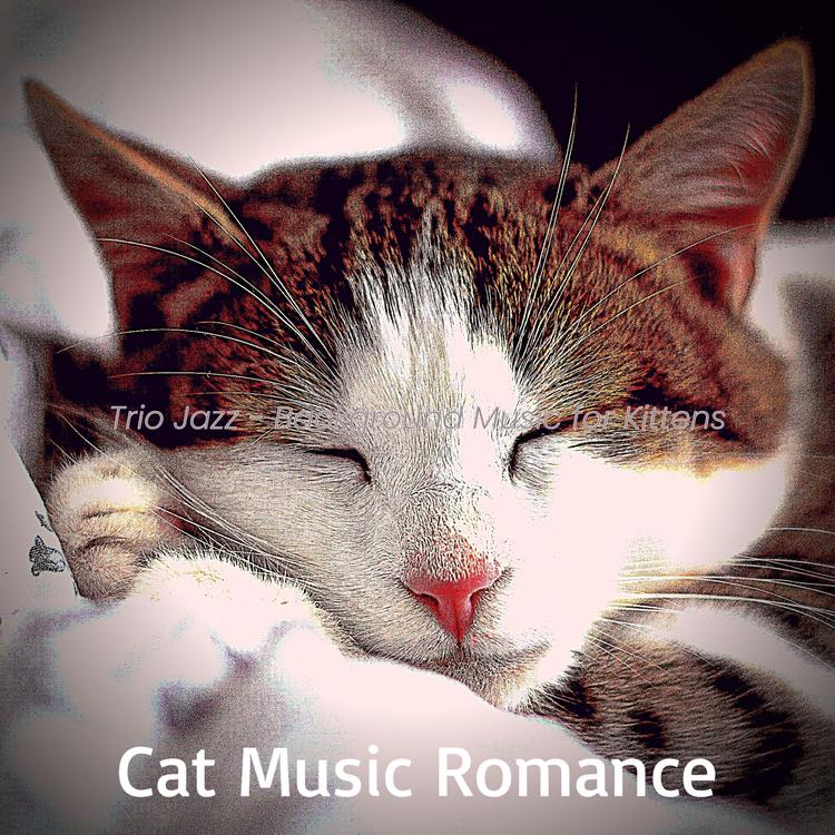 Cat Music Romance's avatar image