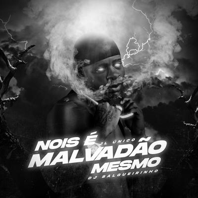 Nois É Malvadão Mesmo By Dj JL O Único, Dj Salgueirinho's cover