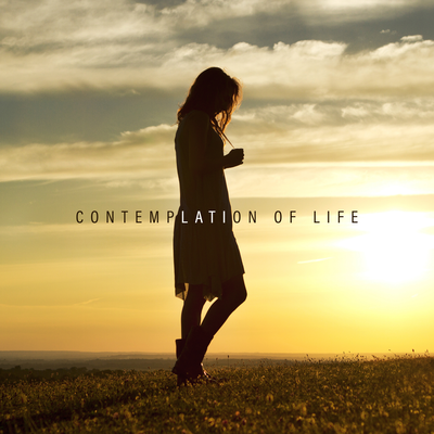 Contemplation of Life's cover