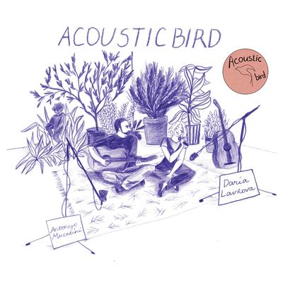 Acoustic Bird's cover