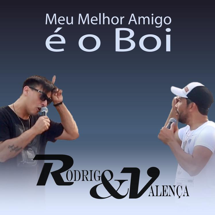 Rodrigo & Valença's avatar image