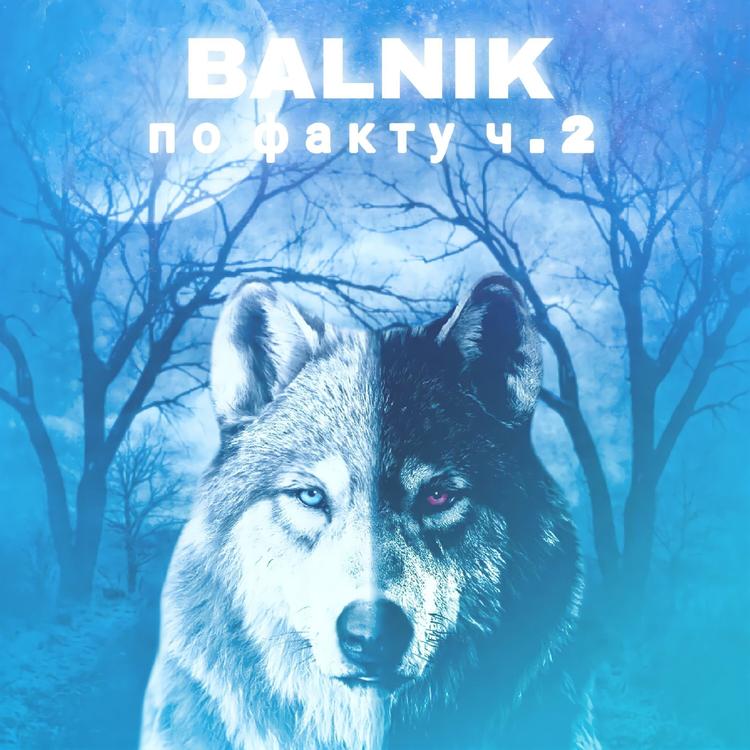 BALNIK's avatar image