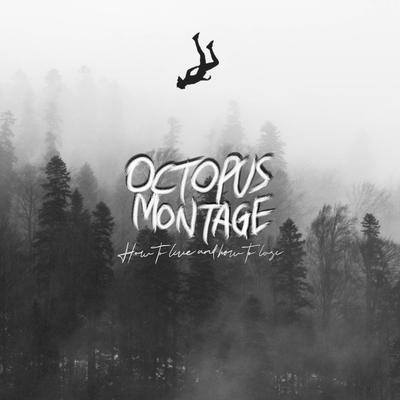 Voices By Octopus Montage's cover